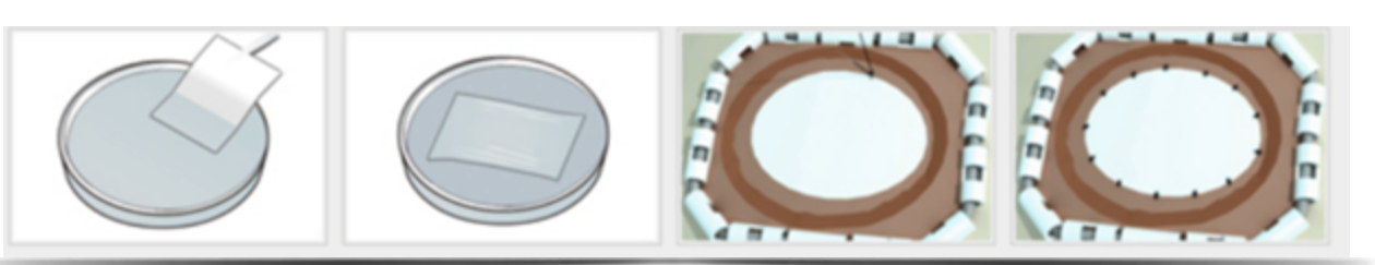 Guía clínica para sutura de NeoDura: hidratación en solución salina y técnica de sutura relajada para un cierre hermético